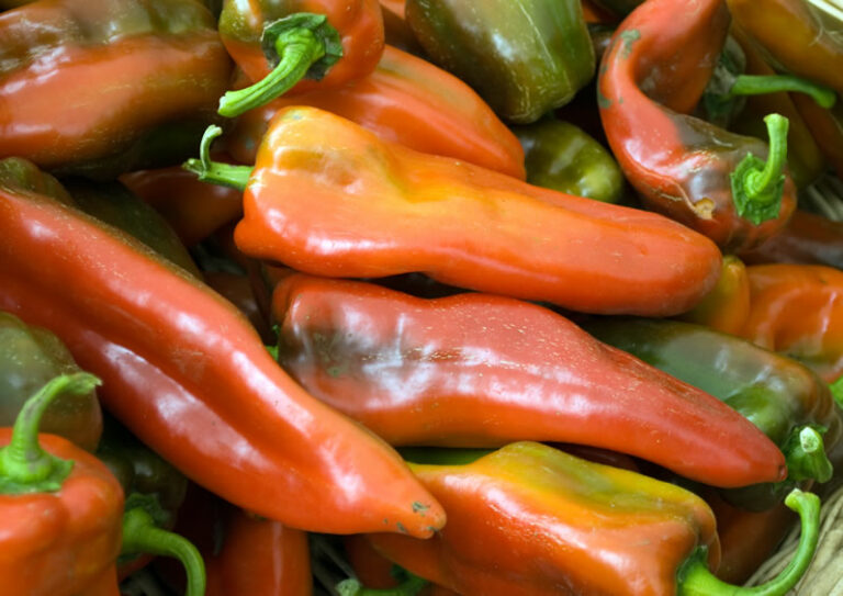 Roasting Peppers Step-By-Step | LunaCafe